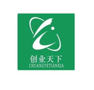 西安創(chuàng)業(yè)天下網絡科技