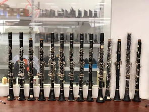 嘉善2家企業首登省級榜單 實現樂器配件領域零突破