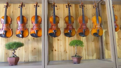 國際音樂盛宴連續四年花落泰興 樂器配件產業的力量與魅力